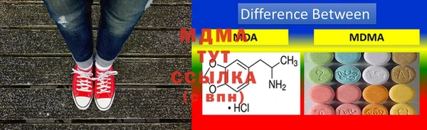 ГАЛЛЮЦИНОГЕННЫЕ ГРИБЫ Бородино