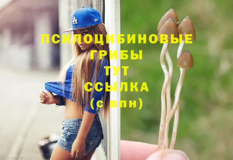 Псилоцибиновые грибы Magic Shrooms  Кунгур 